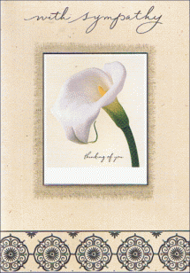 <strong><center>Handwritten Sympathy Cards</center></strong><br/><BR/>